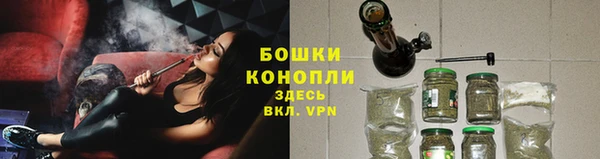 гидра Баксан