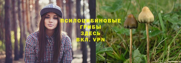 меф Нягань