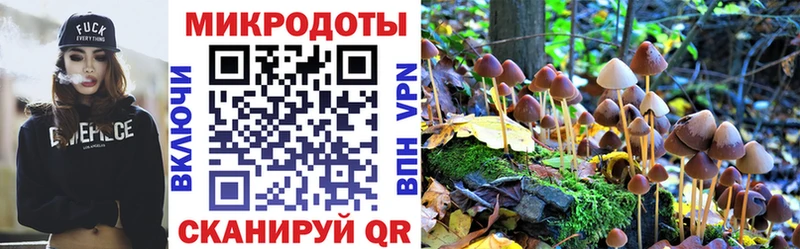 Псилоцибиновые грибы MAGIC MUSHROOMS  Чулым 